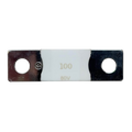 MEGA-fuse 100A/80V (Single pc)